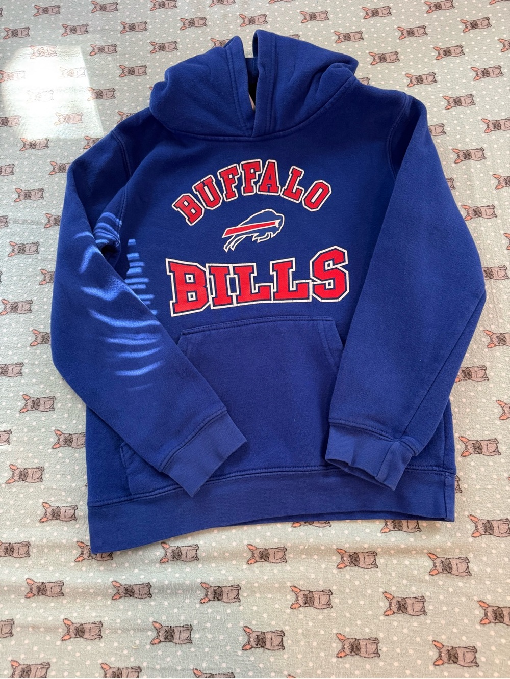 Buffalo David Bitton Royal Blue Kids' Hoodie with Red & White Logo